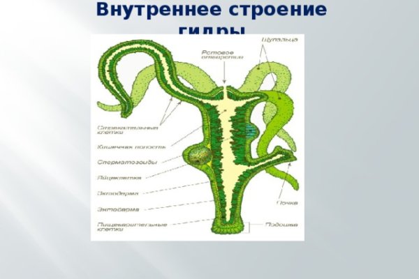 Кракен топ