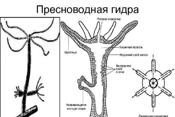 Кракен шоп даркнет