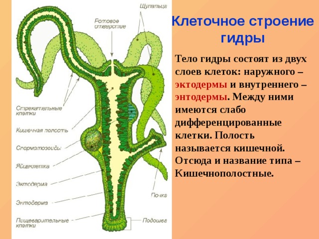 Кракен площадка нарко
