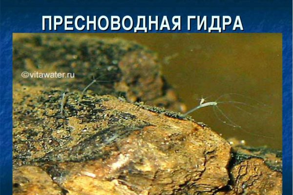 Ссылки в тор
